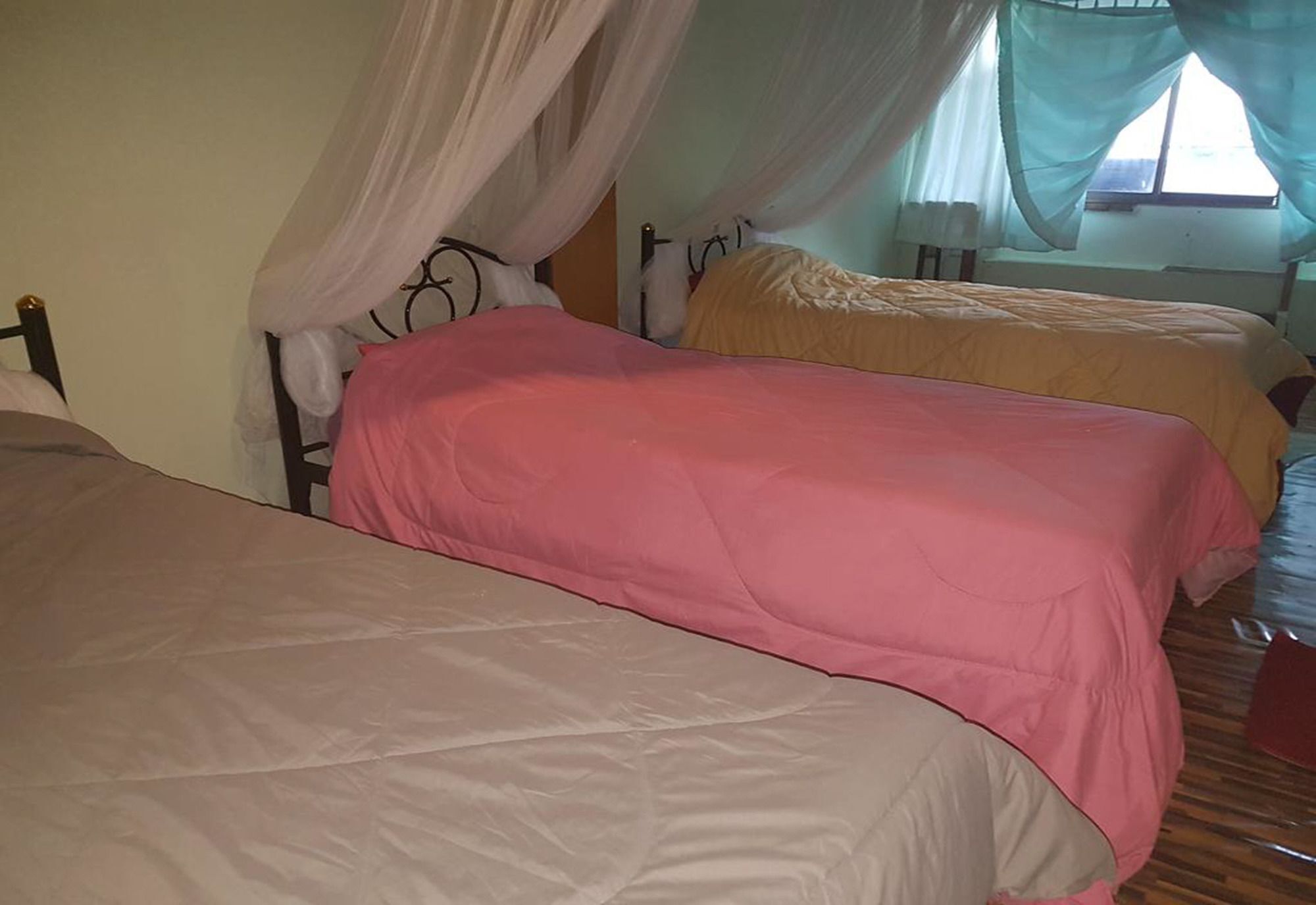 צ'יאנג ריי Bar 184 Party Hostel (Adults Only) מראה חיצוני תמונה